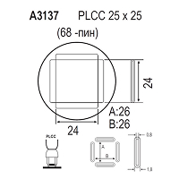 A3137_.jpg